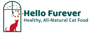 Logo Hello Furever