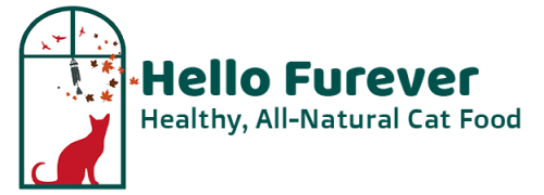 Logo Hello Furever